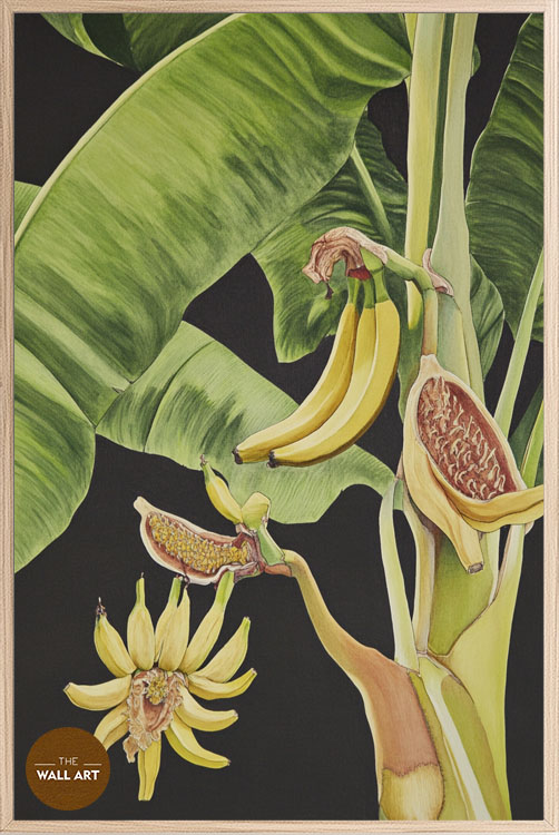 images/products/banana_tree_i/banana_tree I_OAK_P.jpg